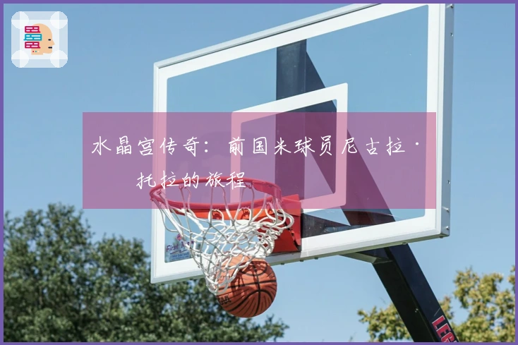 水晶宫传奇：前国米球员尼古拉·文托拉的旅程