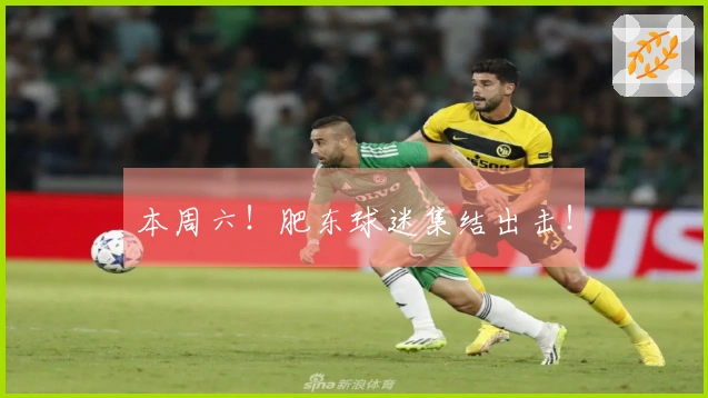 本周六！肥东球迷集结出击！