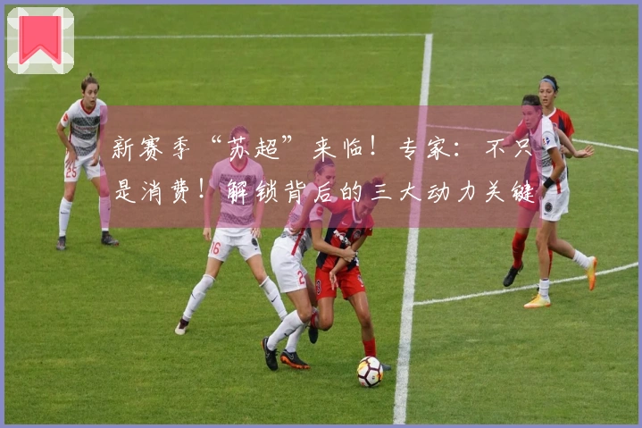新赛季“苏超”来临！专家：不只是消费！解锁背后的三大动力关键词｜宅男财经
